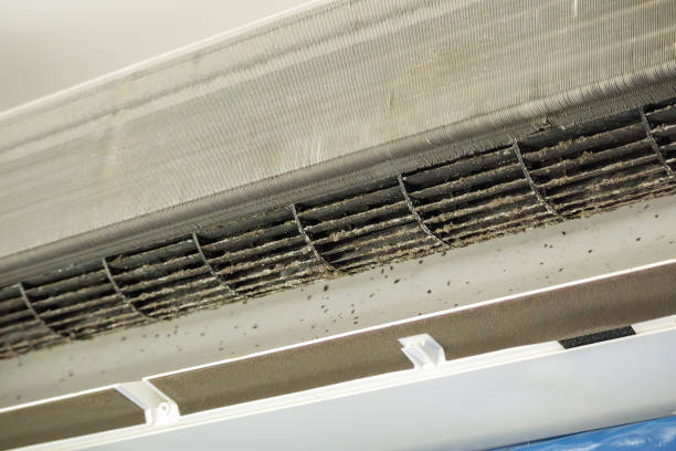 Air Duct Mold Removal in Seacliff, CA